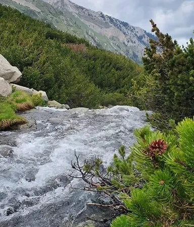 Belvedere Holidey Clab L403 Apartament *