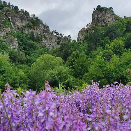 Appartamento Belvedere Holidey Clab L403 Bansko