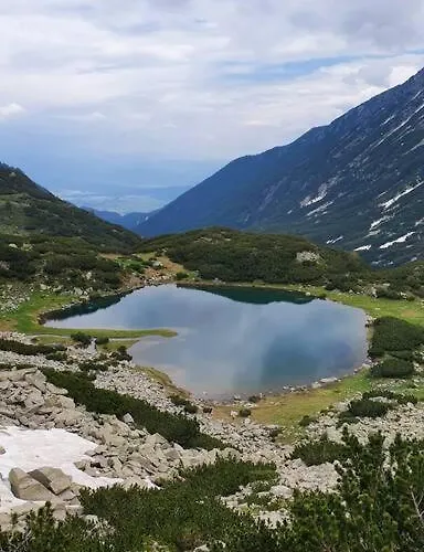 公寓 Belvedere Holidey Clab L403 班斯科