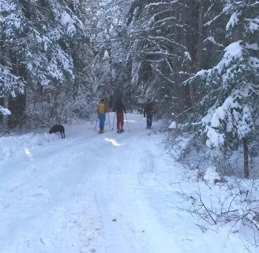 Belvedere Holidey Clab L403 公寓