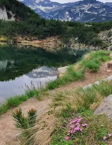 Apartment Belvedere Holidey Clab L403 Bansko