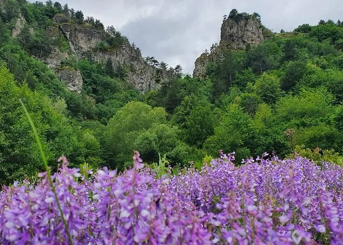 Apartment Belvedere Holidey Clab L403 Bansko